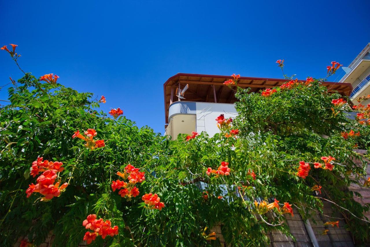 Villa Roel ساراندا المظهر الخارجي الصورة